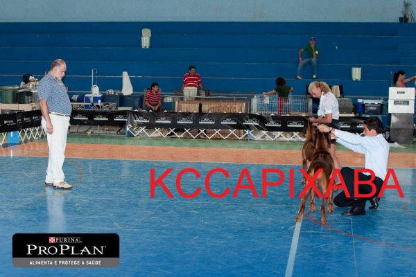 Clique sobre a foto para fechar